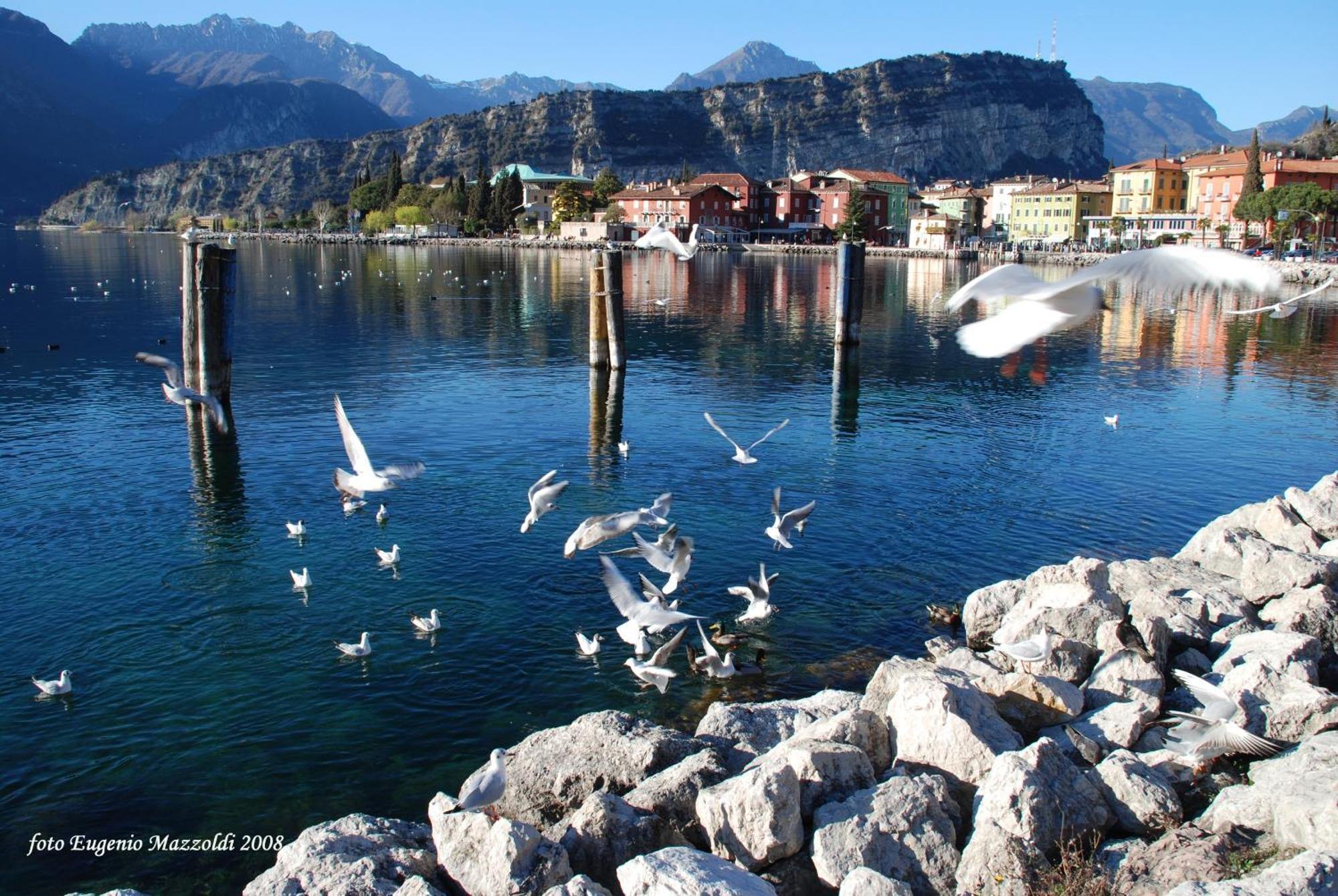 Casa Marco Apartment Torbole Sul Garda Екстериор снимка